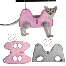 è�����ݵ���è��ָ���޼������� ����è����Dog Cat Hammo����