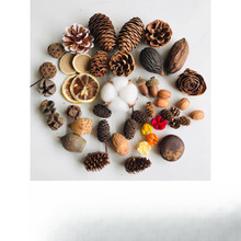 ֲ��˱�ľƬdiy�ɻ���������ֹ�����а����Ϲ����ɹ��b���