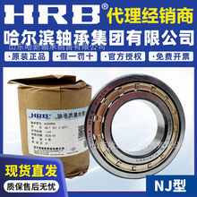 HRB��������� NU206EM    NU207EM    NU208EM ����Բ���������