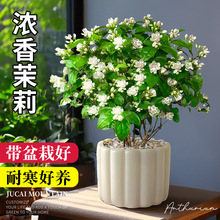 ���������҃Ȏ������̨���B�d�ӻ���ֲ��͏d�ļ��_��ˮ��Gֲ