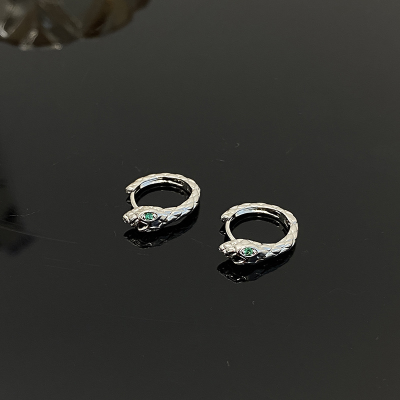 Snake-shaped Zircon Earrings Women's Light Luxury Niche Design High-end Ear Studs Men's Distinctive Fashionable Cool Style Earrings