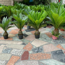 �F���辰С��͏d�����ļ�����GֲͥԺ��ݗ��һ����ĸ�F����