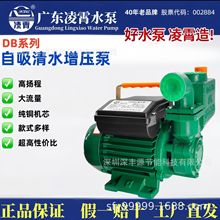 广东凌霄1ZDB自吸抽水增压泵小型家用自来水清水循环泵井水抽水泵