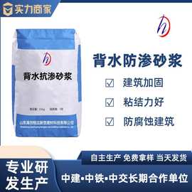 背水砂浆抗渗防水工程背水面砂浆防水性能好粘结型高背水砂浆