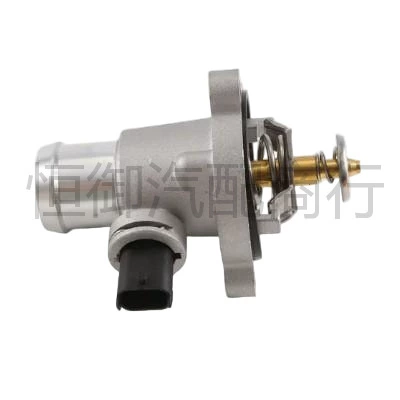 Thermostat Tiggo 7, Tiggo 8