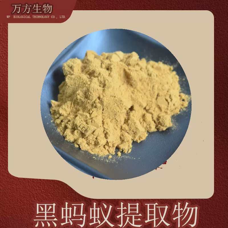 黑蚂蚁提取物10:1萃取厂家现货多种规格品质可靠黑蚂蚁提取物