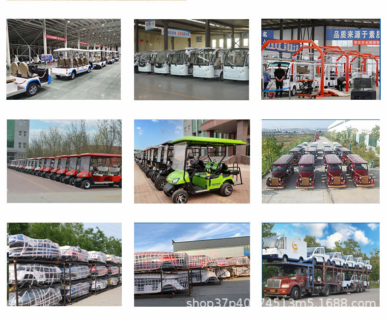 Electric golf cart scenic spot sightseeing car four-wheel court walking 2-4 seats 6 seats car patrol car