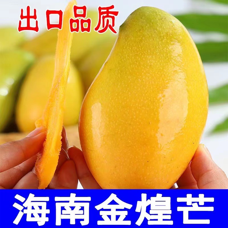 0ba133be48b32205a30314ee4bac1a