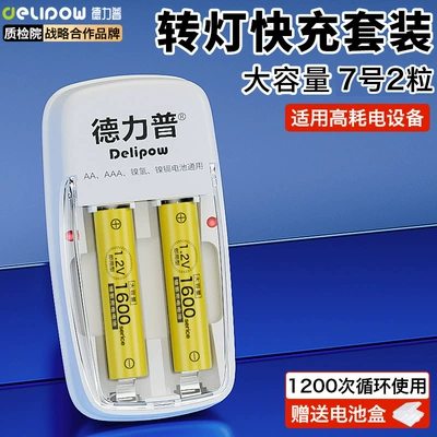 Delipu No. 5 Battery Rechargeable Hibrid akkumulyator batareyaları - 016-standard-charger-no-7-1600-battery-2-cells