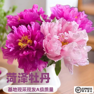 ���ʝ�ĵ���r����ϼ����ذ��Yĵ��ˮ�B�廨����ֱ�l��������