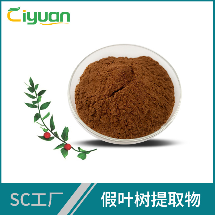 假叶树提取物10:1 鲁斯可皂甙 欢迎咨询