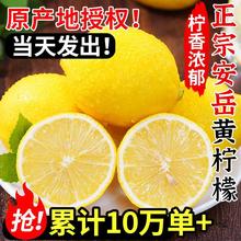 四川安岳黄柠檬9斤新鲜水果奶茶店皮薄大果非香水柠檬无10籽