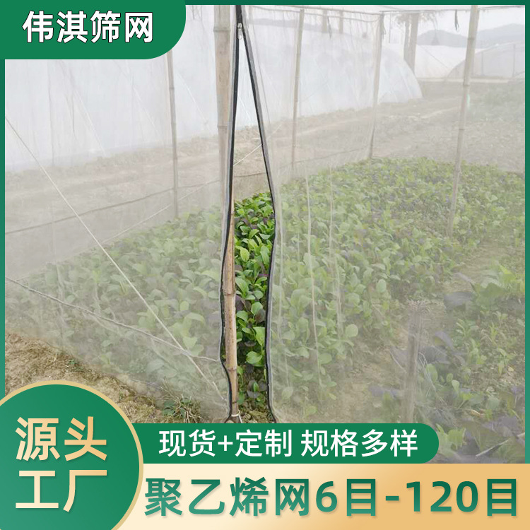 厂家供应尼龙网 尼龙过滤网 防虫乙烯筛网 多种规格