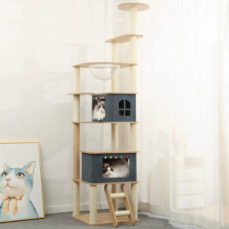 Summer space climbing frame, toy, cat