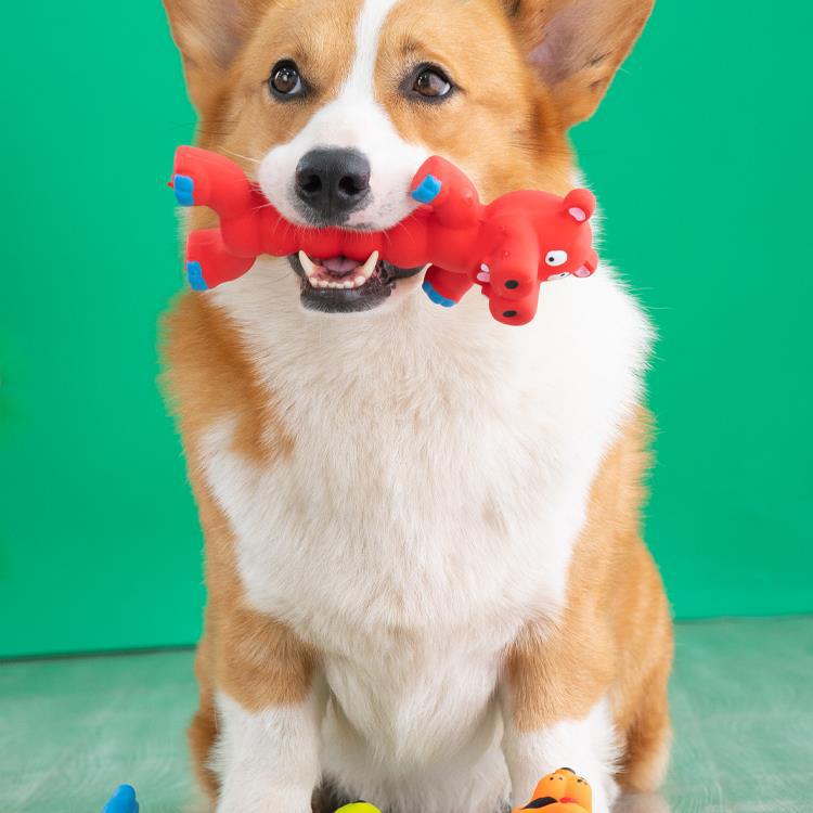 개 소리 장난감, 씹기 및 어금니 훈련, 코기 테디, 시바견 강아지, 심심함 해소 펫, 비숑 프리제 강아지