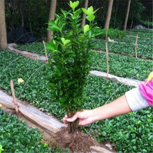 ���Ե����f��������S������綬��������~�S��h����