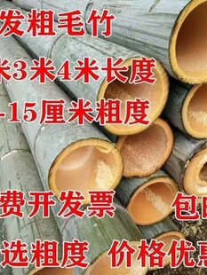 �����Ӵ���������L����͹���ë���ܑ��������ë��ͥԺ��