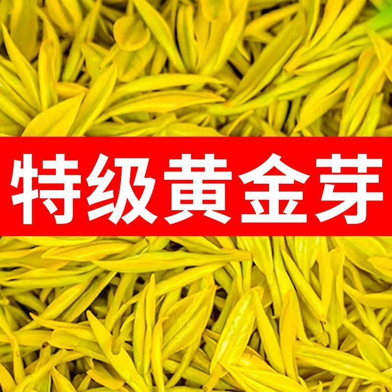 手作り黄金芽茶葉緑茶新茶雨前一級高級ギフトボックス250g 500g濃香耐泡|undefined