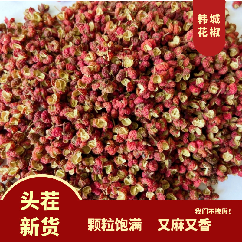 陕西韩城大红袍花椒粒食用特麻特香干红麻椒火锅底料香料调料