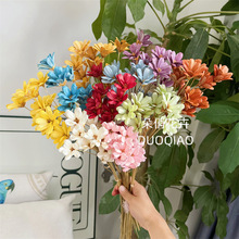 С���ӻ��������ɻ����ӻ����l�Ҿ�ܛ�b�廨�p��С������DIY����