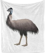 ϲg}ƴNCͱӷϡmqë̺