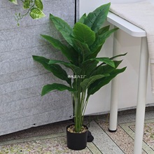 �پGֲ�����B���˽�����Gֲֲ���辰�٘��҃��bҾӱ��W���ʽ