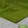 Yellow background moss 50×50