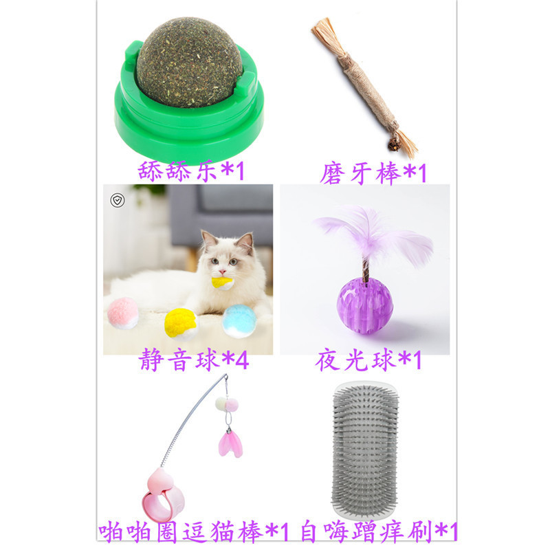 라피 그라스 6 종 세트