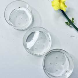 plastic cup塑料灌蜡杯 茶蜡壳 pc cup 茶蜡空杯 塑料蜡烛托