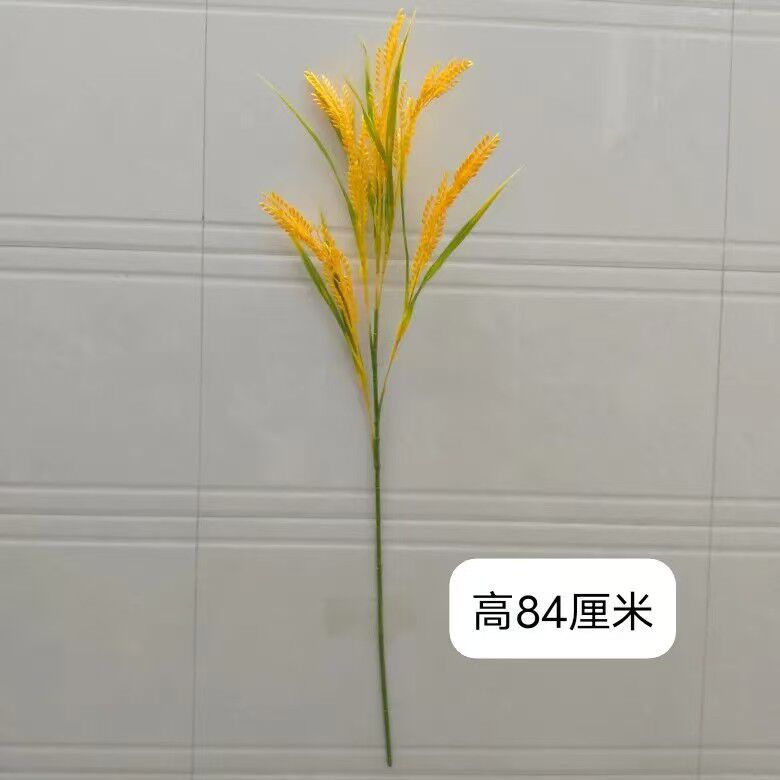 5-fork rice all-in-one main material [length 84cm long