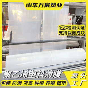Wholesale 0.6m - 12m Wide Agricultural Film White Plastic Sheet Polyethylene Agricultural Film Transparent Plastic Film High Light Transmittance