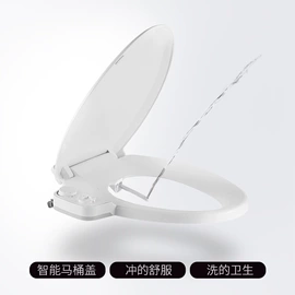 智能马桶盖;普通马桶盖;其他卫浴洁具