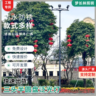 10m Mid-Pole Lamp Three-Head Semi-Disk Fan-Shaped Court Lamp Tennis Court Station Port Intersection High Pole Floodlight