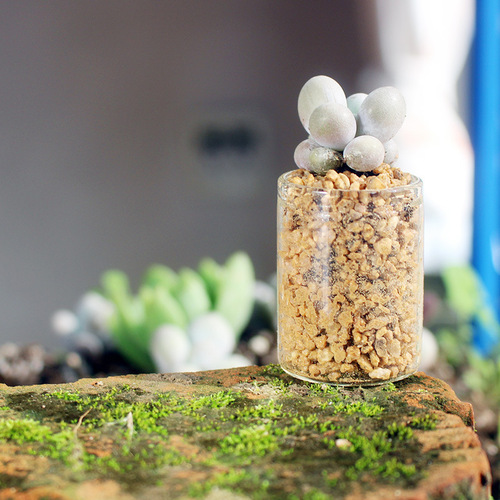 Mini test tube, small vase, succulent glass bottle, micro landscape ecological bottle, moss decorative hydroponic vessel, thumb bottle
