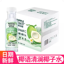 椰语清澜椰子水300ml泰国青皮香水椰子汁椰果饮料电解质饮品批发
