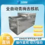 自动去核商用青梅去核机