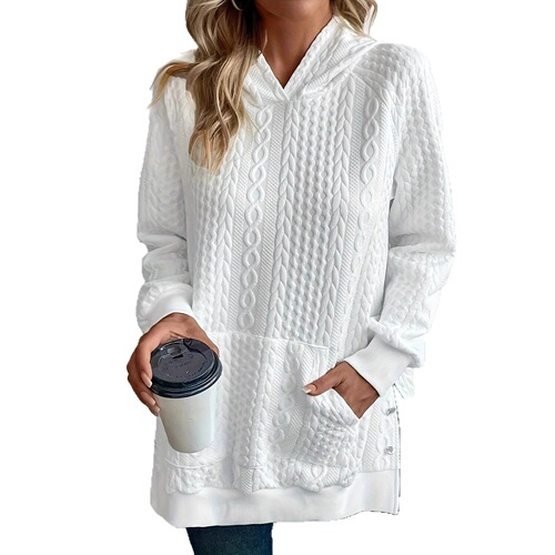 2025 eBay AliExpress Wish Bestselling Autumn/Winter New Plus Size Long Sleeve Solid Color Hooded Sweatshirt for Women