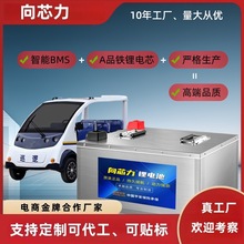 늄܇늳l48V60V72VF䇴݆܇Ѳ߉܇늳