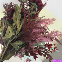 �tɫ��c��Y�û��Pβ�~�ٺ��Ų�ç�����W�L���y�~�ՔzӰ��ֻ/��