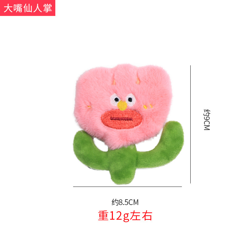 선인장