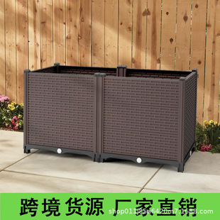 40�����ڿ羳���⻨�仨�����ϷN����Nֲ��ͥԺ�˴��̨�N������