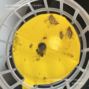 ������մճ�x��5�����zճ���ճ�鼈ճ���b���������T�������҃�
