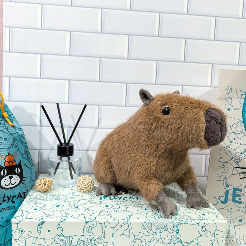 イギリスjellycatセシルひよこ雌鶏クルーニー雄鶏ぬいぐるみぬいぐるみ人形卸売り|undefined