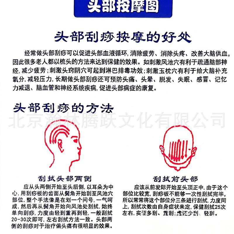 Head massage scraping human Meridian diagram acupuncture moxibustion wall chart scraping hole bitmap scraping method precautions Head massage scraping human Meridian diagram acupuncture moxibustion wall chart scraping hole bitmap scraping method precautions