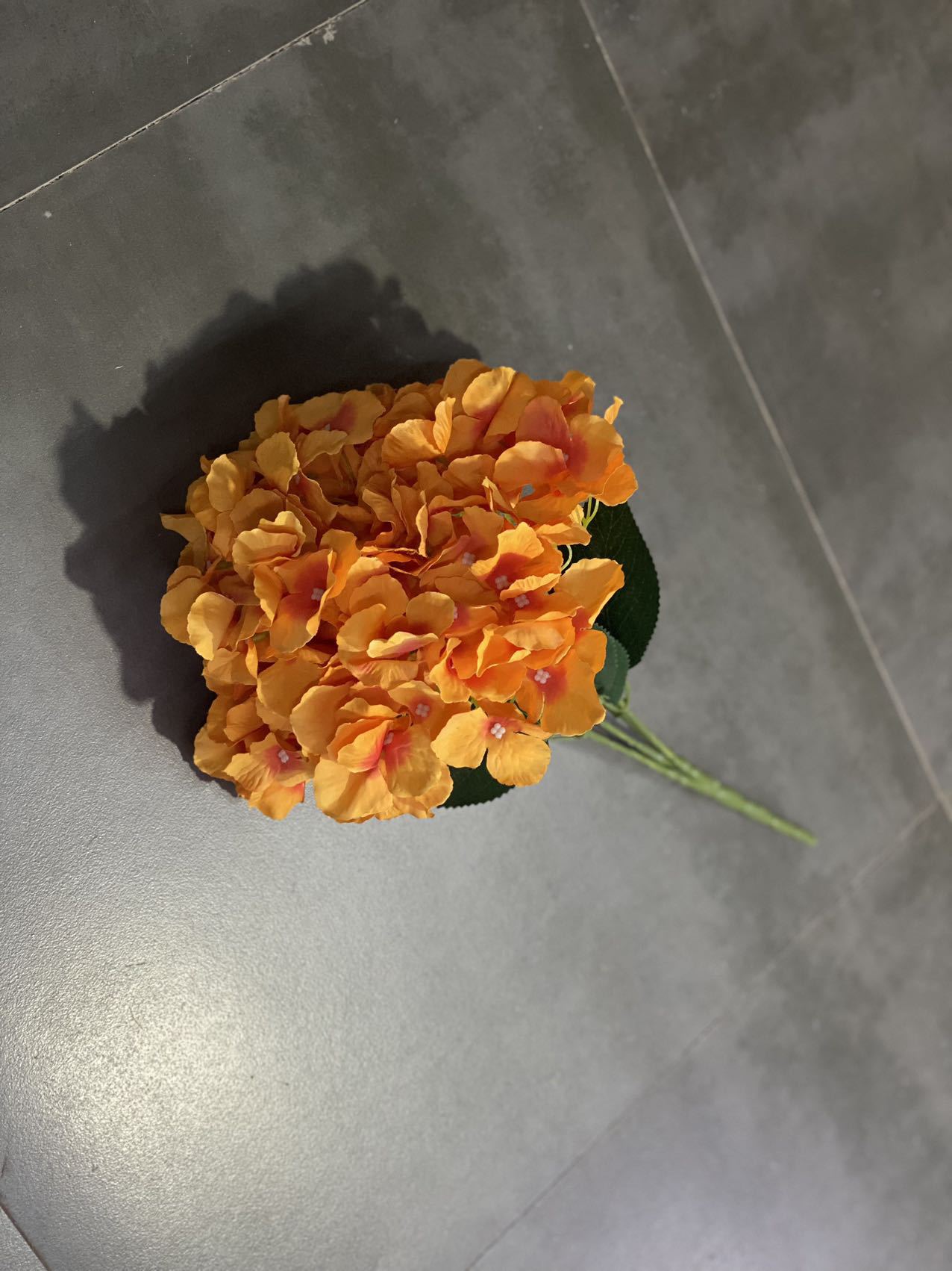 오렌지