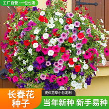 �L�����N�����մ��ļ����N�_���׻�ͥԺ���Ի����҃������÷�N��