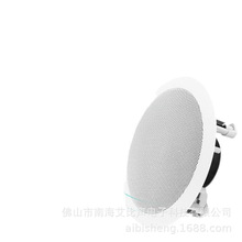20W/30W/40W定压定阻嵌入式高品质同轴天花吸顶喇叭厂家按需生产