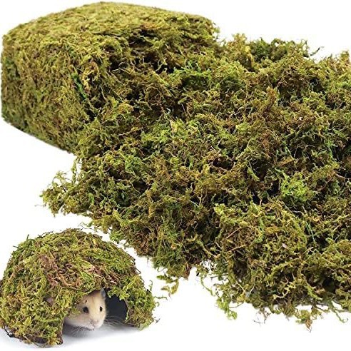 Dry moss original color moss butterfly orchid succulent dendrobium nutritious soil seedling grafting turtle hibernation mat diy