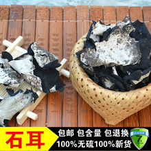 ؼҰșʯ 500 `֥ ʯľ ҹ Ě |؛os|