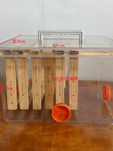 ����͸����������B�^���۷�W�tֱ��չʾ�T���B���������B�з�